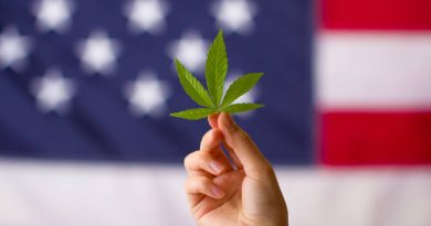 Poll: 60 Percent of Americans Back Federal Cannabis Legalization