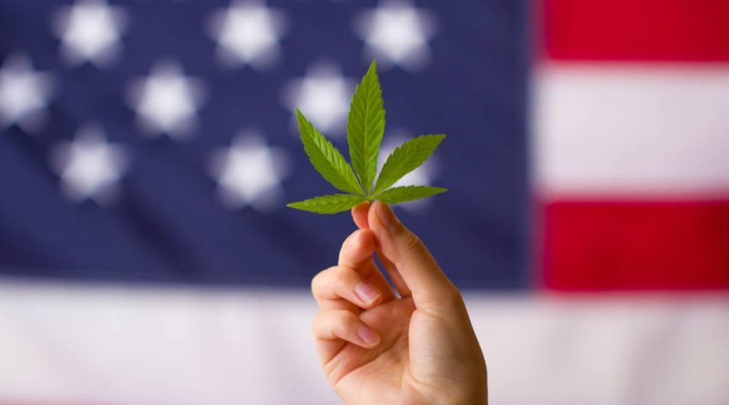 Poll: 60 Percent of Americans Back Federal Cannabis Legalization