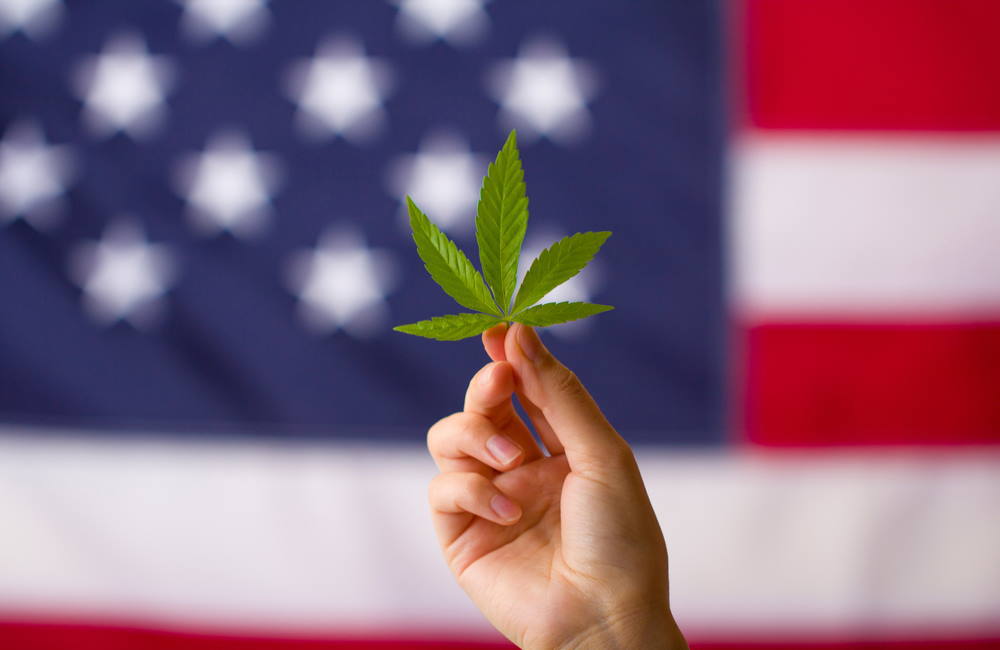 Poll: 60 Percent of Americans Back Federal Cannabis Legalization