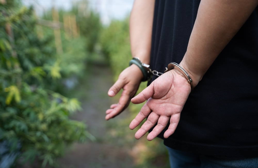 Cannabis Arrests Cont'd in 2021. FBI Report Provides Incomplete Picture