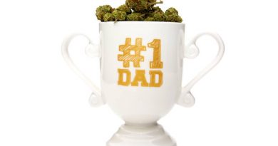 What is Dad Weed, Why Is It Popular? | Dad Grass CBD, Hemp