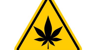 Is Marijuana Dangerous