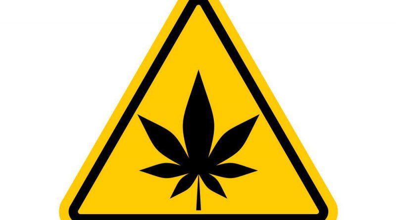 Is Marijuana Dangerous