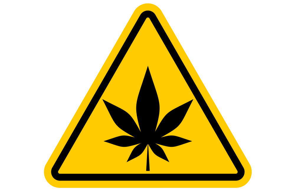 Is Marijuana Dangerous