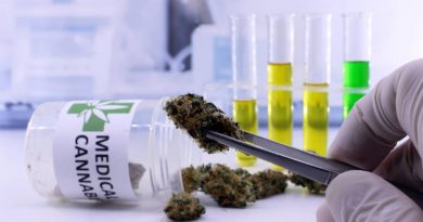 Congress Makes History With Medical Marijuana Research Bill