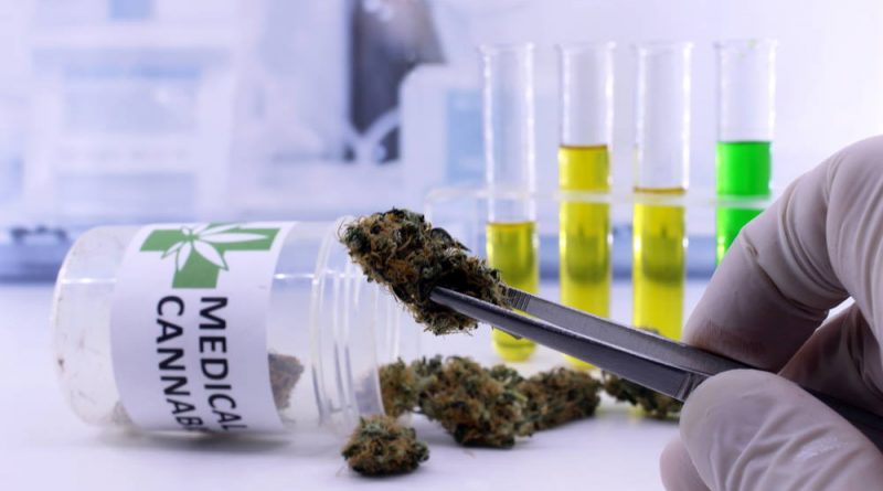 Congress Makes History With Medical Marijuana Research Bill