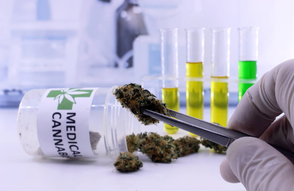Congress Makes History With Medical Marijuana Research Bill