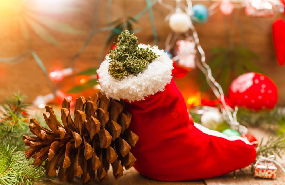 Marijuana Holiday Gift Idea: Cannabis Greeting Cards