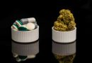 Another Study Finds Connection Between Legal Cannabis and Reduced Opioid Use
