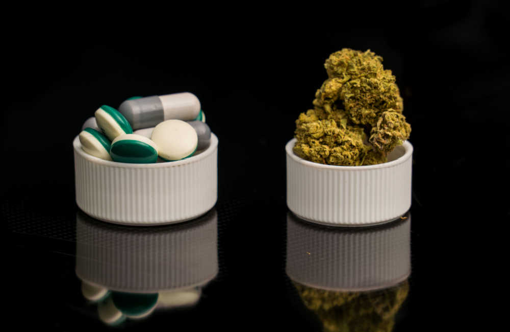 Connection Between Legal Cannabis and Reduced Opioid Use