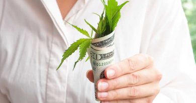 Michigan Smashes Cannabis Sales Record | MI Marijuana Sales