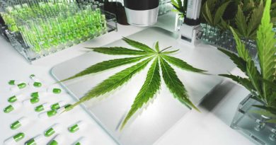 Michigan Uses Cannabis