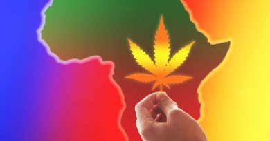 Cannabis in Africa: Zimbabwe Legalizes Medical Marijuana