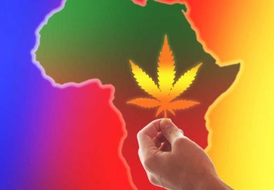 Cannabis in Africa: Zimbabwe Legalizes Medical Marijuana