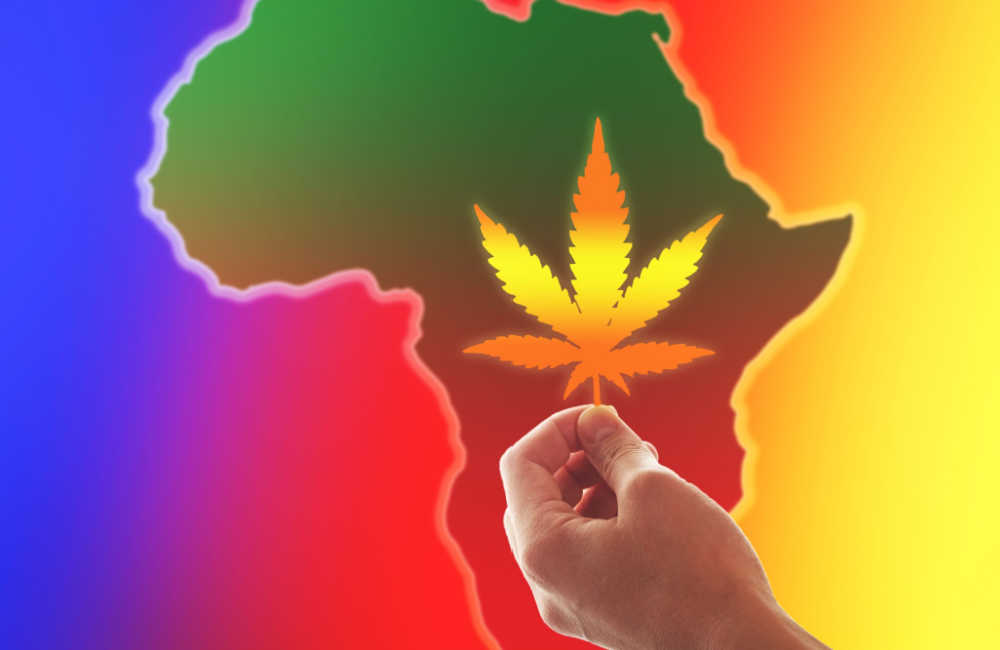 Cannabis in Africa: Zimbabwe Legalizes Medical Marijuana