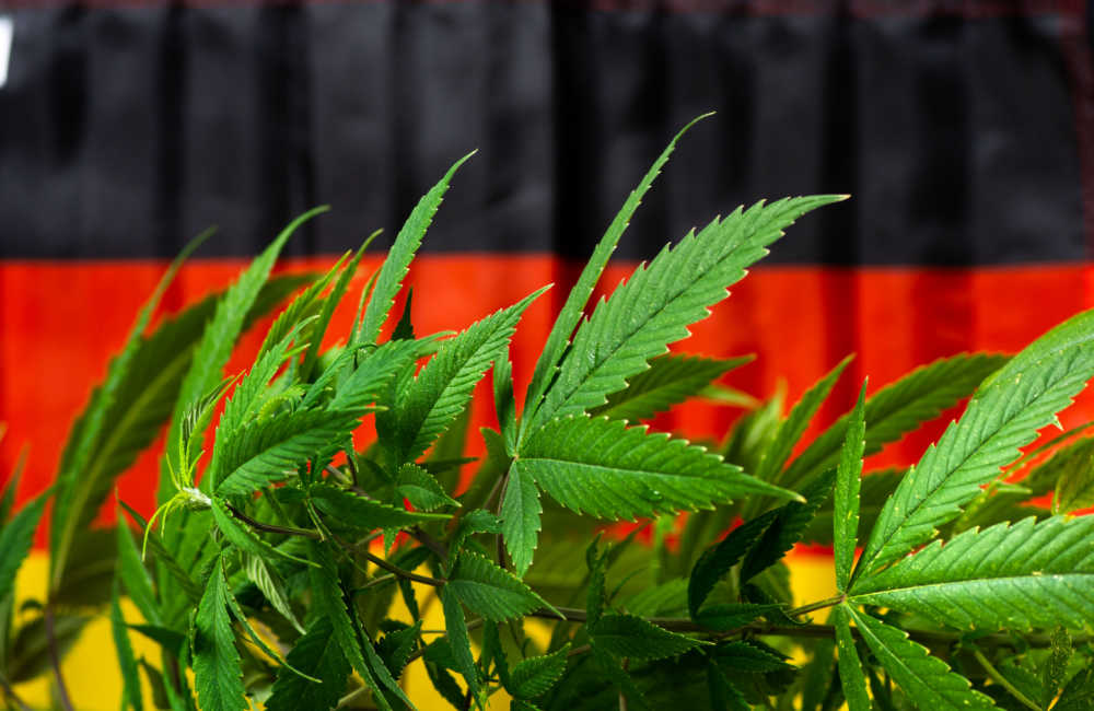 Cannabis in Germany