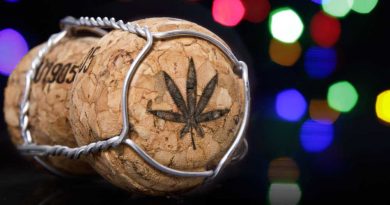 Cannawine Latest Trend in Cannabis Beverages | THC Wine