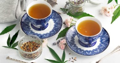 What Is CBD Tea? | Is CBD Tea Safe? | Where to Buy CBD Tea