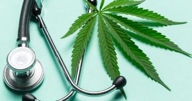What Are Some of the Popular Medical Uses For Cannabis?