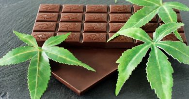 marijuana and chocolate