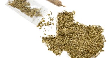 Texas decriminalization