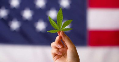 cannabis legalization