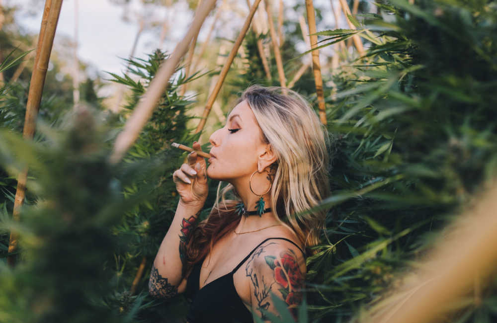 cannabis smokers