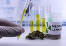 Medical Cannabis and Cancer: New Study Finds Patients Benefit From Using Cannabis