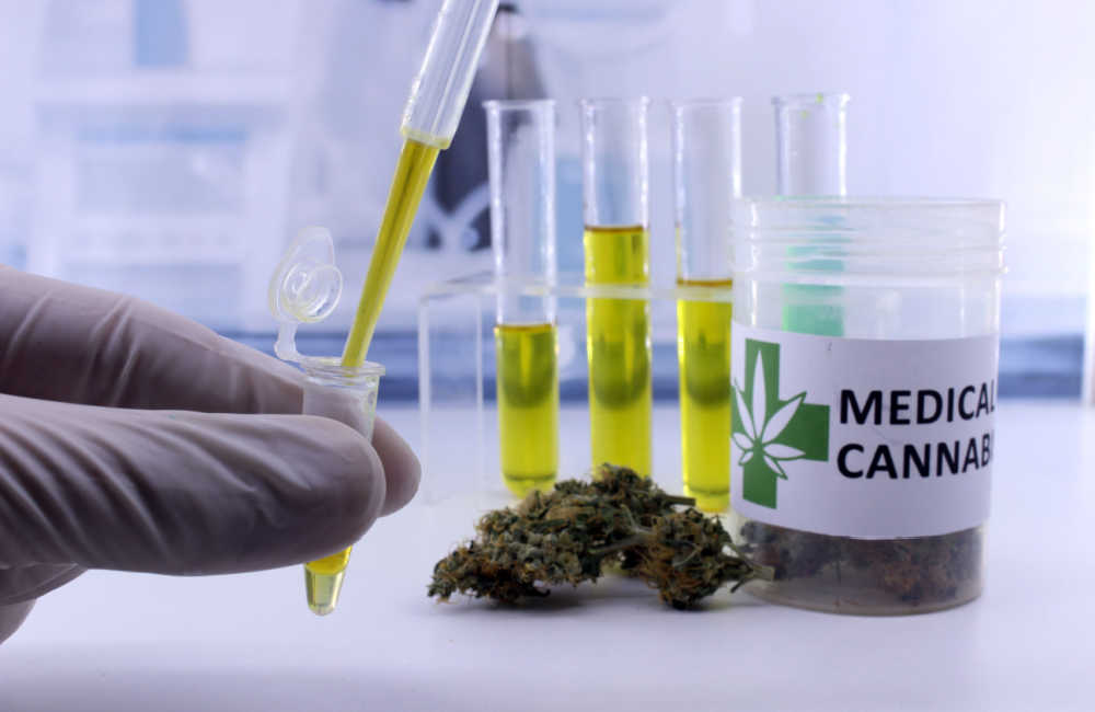 Medical cannabis and cancer