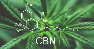 What Is CBN and What Are Its Potential Benefits? | Cannabinoids