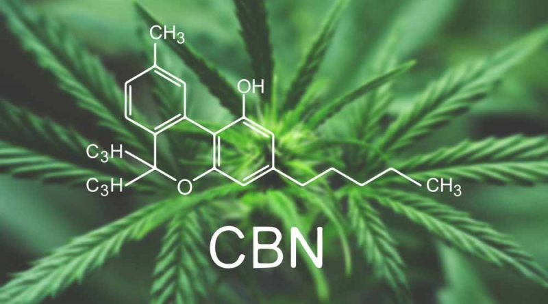 What Is CBN and What Are Its Potential Benefits? | Cannabinoids