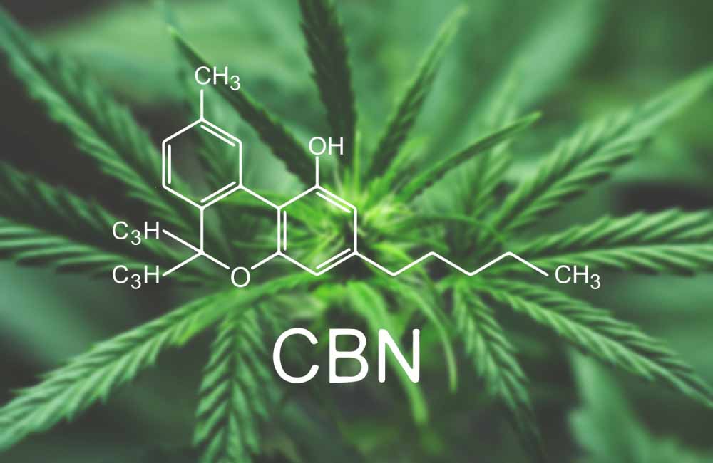 What Is CBN and What Are Its Potential Benefits? | Cannabinoids