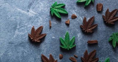 cannabis edibles