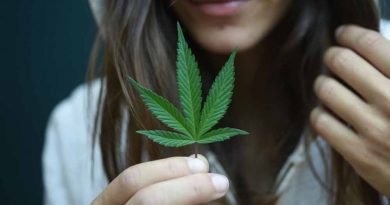 Tips For the First Time You Use Cannabis | Marijuana Tips