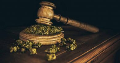 Illegal cannabis
