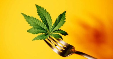 Why Do Some People Prefer Cannabis Edibles?