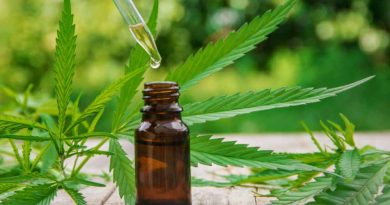 What Is a Legal Cannabis Tincture? | How and Why to Use