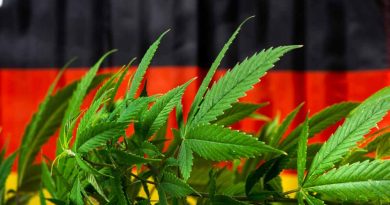 Germany Cannabis Legalization Moves Forward, Scope Limited