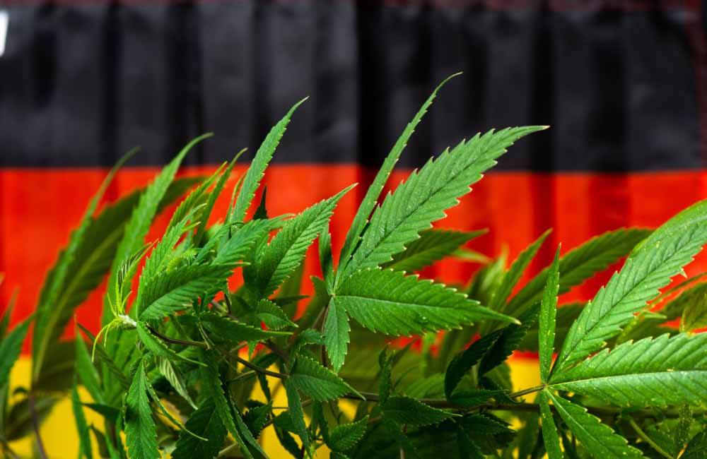 Germany Cannabis Legalization Moves Forward, Scope Limited