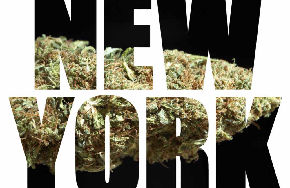 New York cannabis