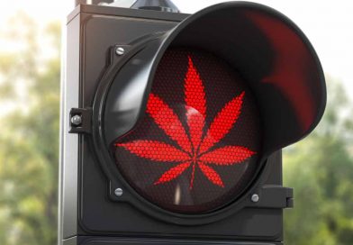North Carolina Congressman Wants to Cut Federal Funding for States That Legalized Cannabis