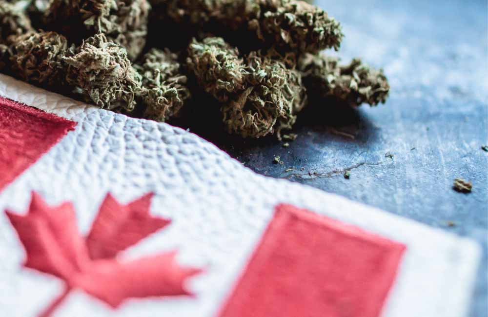 Canada cannabis