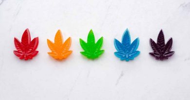 cannabis edibles