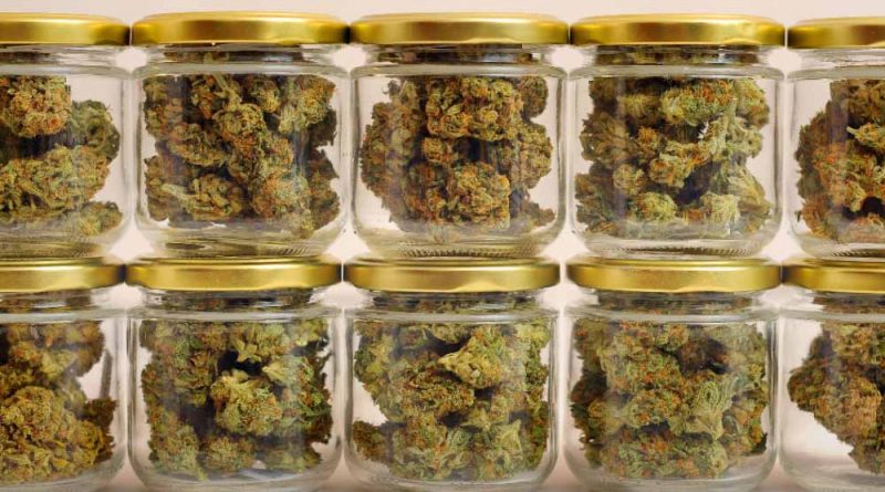 cannabis storage