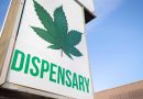 Why Is Medical Cannabis So Popular?