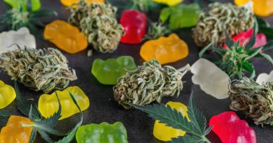 cannabis edibles