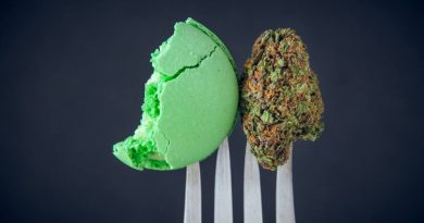 Cannabis Edibles Tips