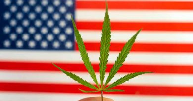 cannabis legalization