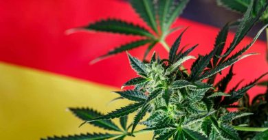 germany legal cannabis