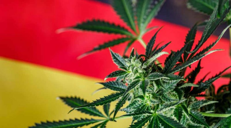 germany legal cannabis